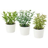 Artificial Herb Potted Plants in White Plastic (Set of 3) 5cm