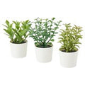 Artificial Herb Potted Plants in White Plastic (Set of 3) 5cm