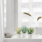 Artificial Herb Potted Plants in White Plastic (Set of 3) 5cm