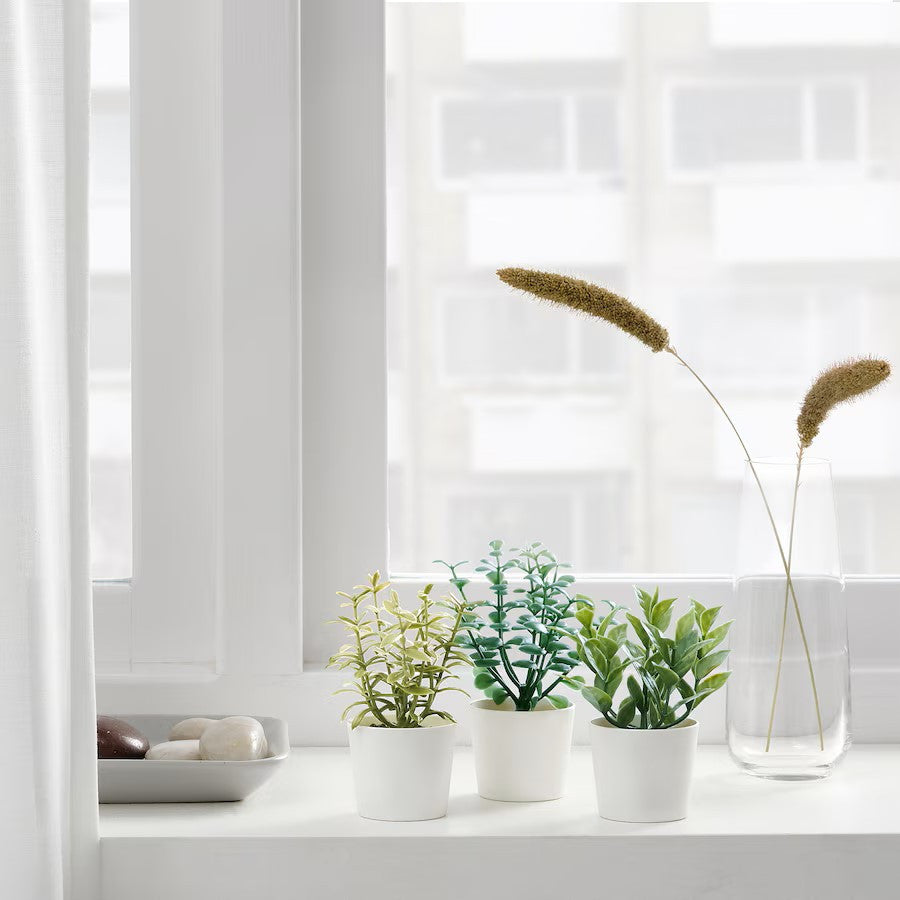 Artificial Herb Potted Plants in White Plastic (Set of 3) 5cm