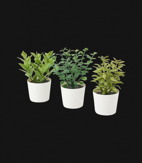 Artificial Herb Potted Plants in White Plastic (Set of 3) 5cm