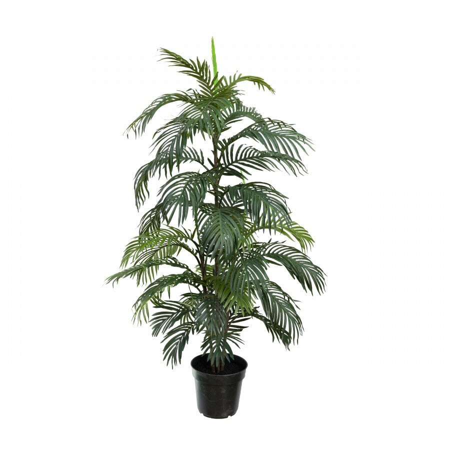 Serenity Areca Palm Tree 150cm