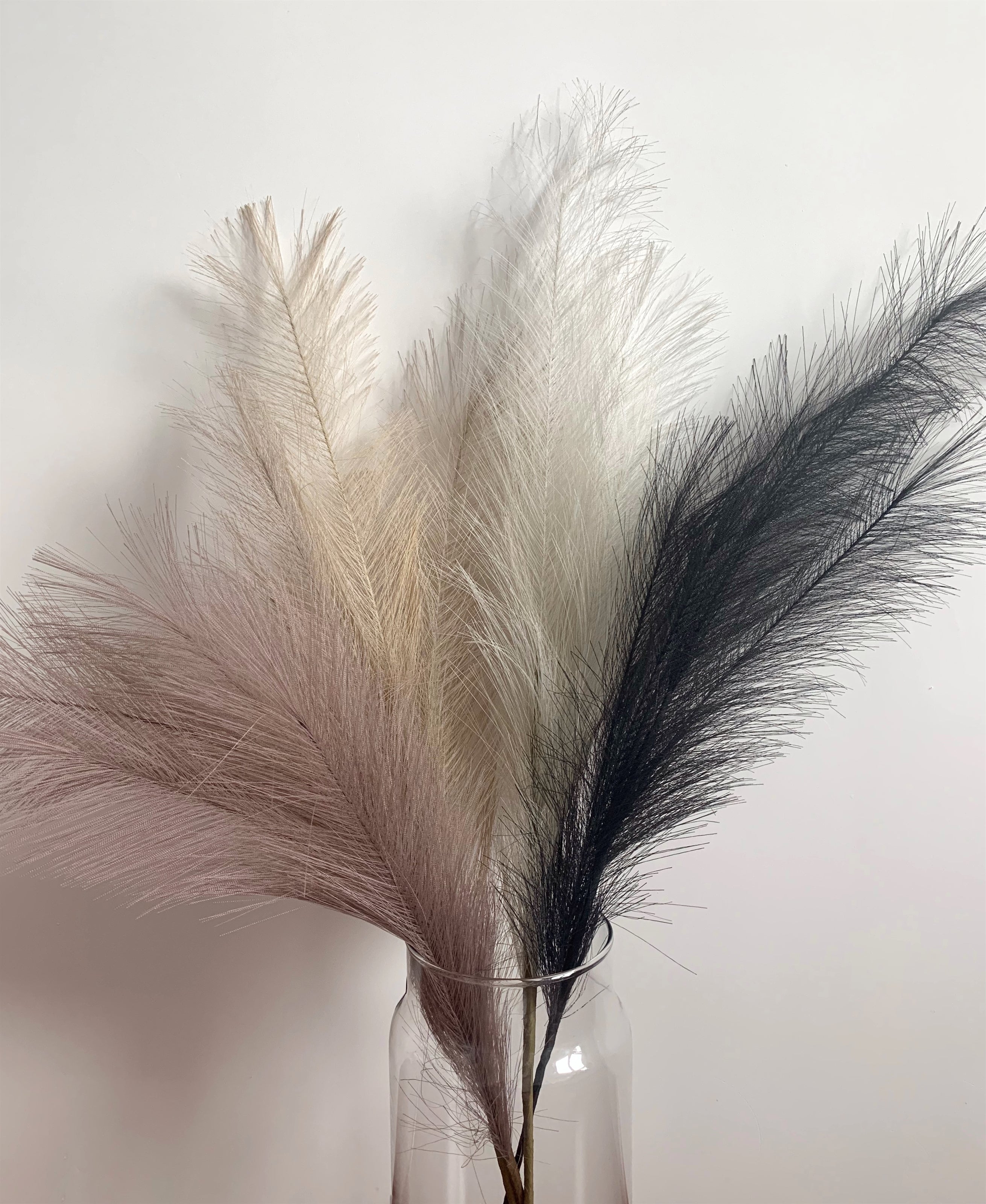 Pampas Grass Stems Pack (3 Assorted Colours) 80cm - Pack of 24