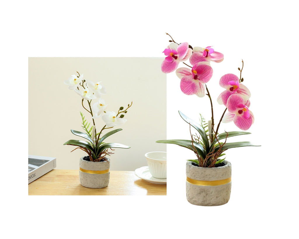 Artificial Orchid in Cement Pot (Set of 2) 27cm