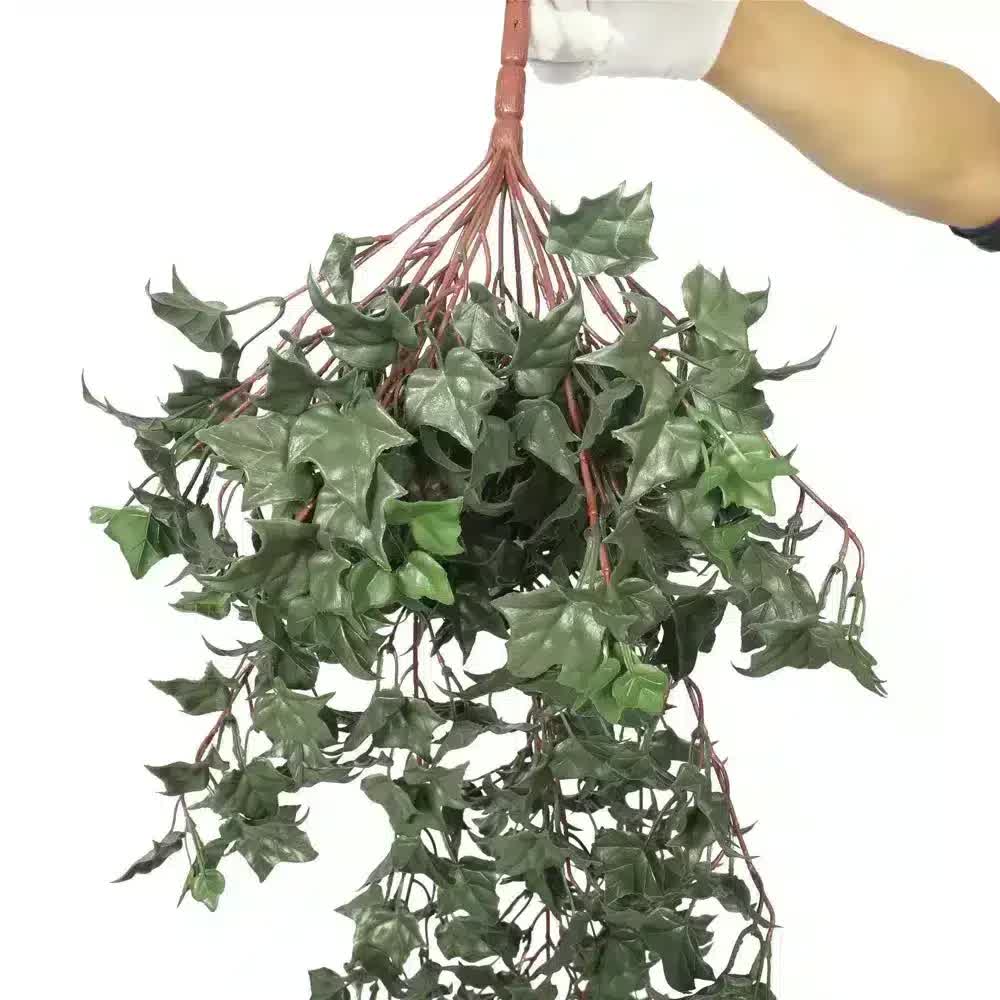 Hanging green ivy plant held by a gloved hand on a white background