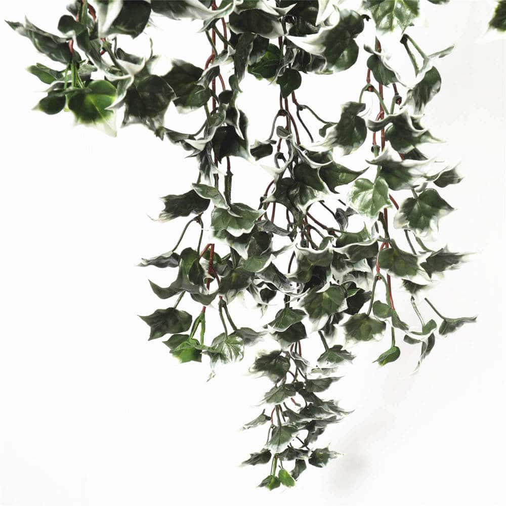 Artificial hanging ivy bush with green and white tips, UV resistant, 80cm long, ideal for home and garden decor by Faux Flora.