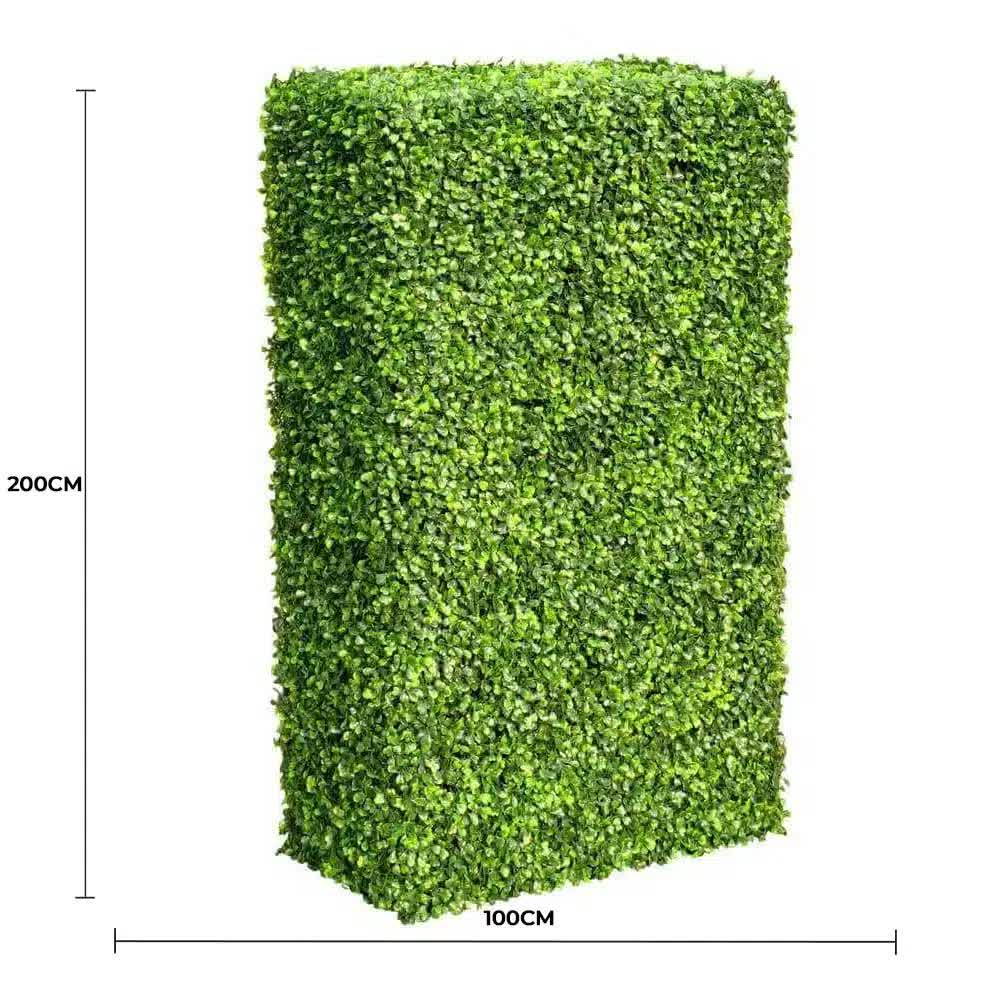 Large Portable Mixed Boxwood Hedge (UV Resistant) 100cm  x 200cm