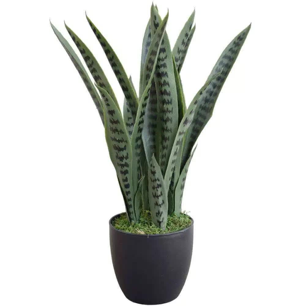 Artificial snake plant by Faux Flora, 60cm UV-resistant Sansevieria in a decorative pot for home and garden decor.