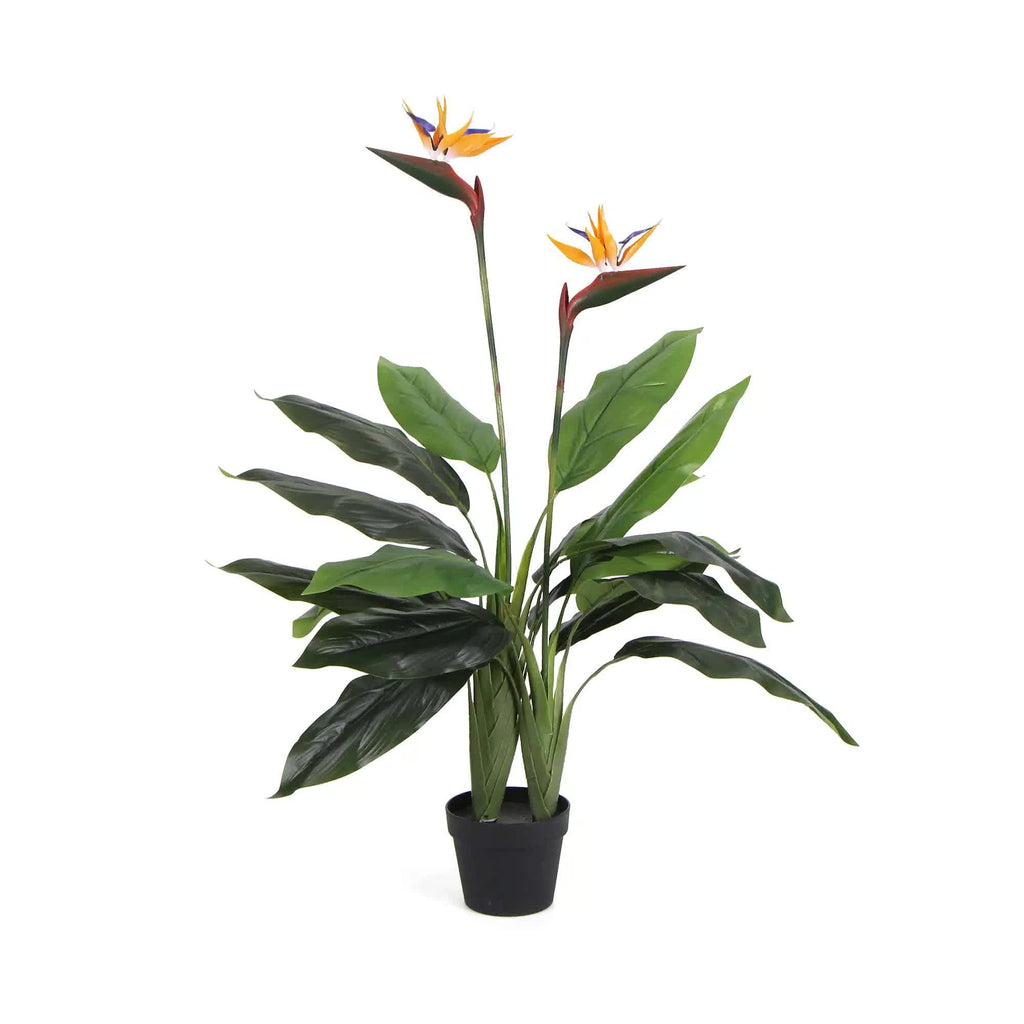 Artificial Bird of Paradise plant in a pot, 110cm tall, realistic faux greenery for home or garden decor by Faux Flora.