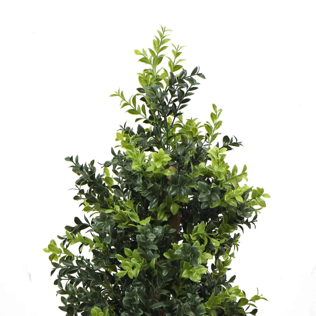 Artificial boxwood topiary on a white background