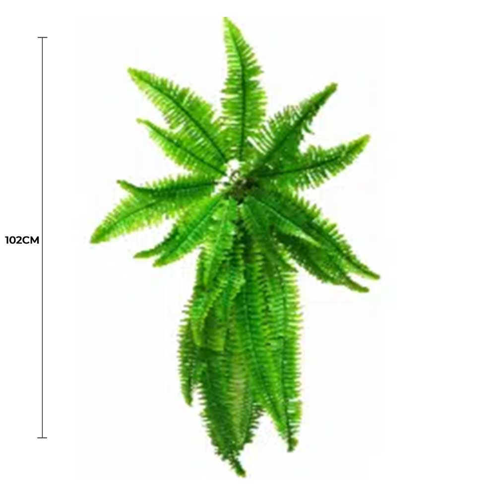 Artificial fern plant with measurement on a white background