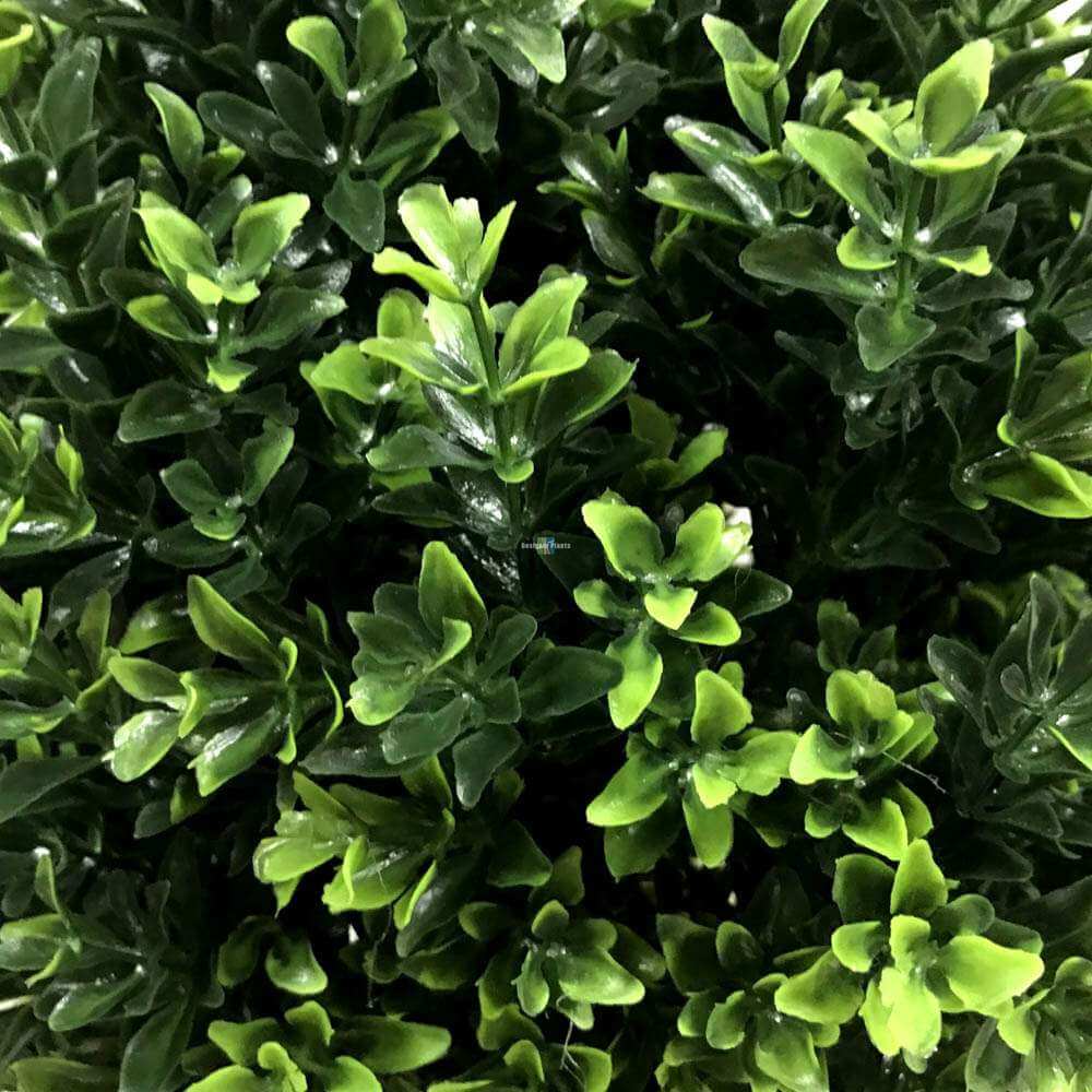 Artificial Hedyotis topiary shrub by Faux Flora, UV resistant 50cm tall faux plant for home and garden decor.