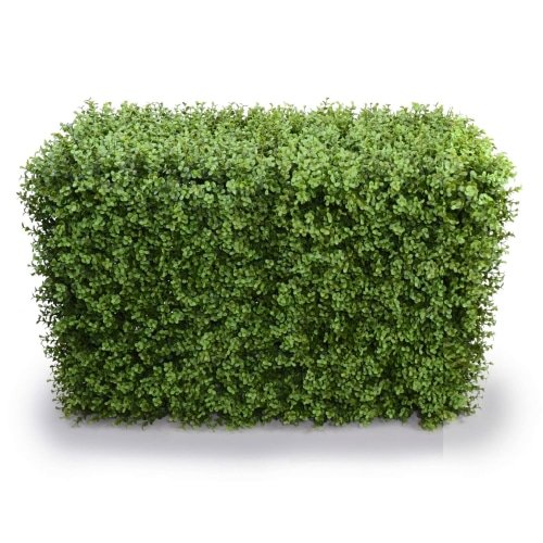 Faux Flora deluxe portable Buxus hedge, UV resistant, 100cm x 50cm, artificial plant for home and garden decor.