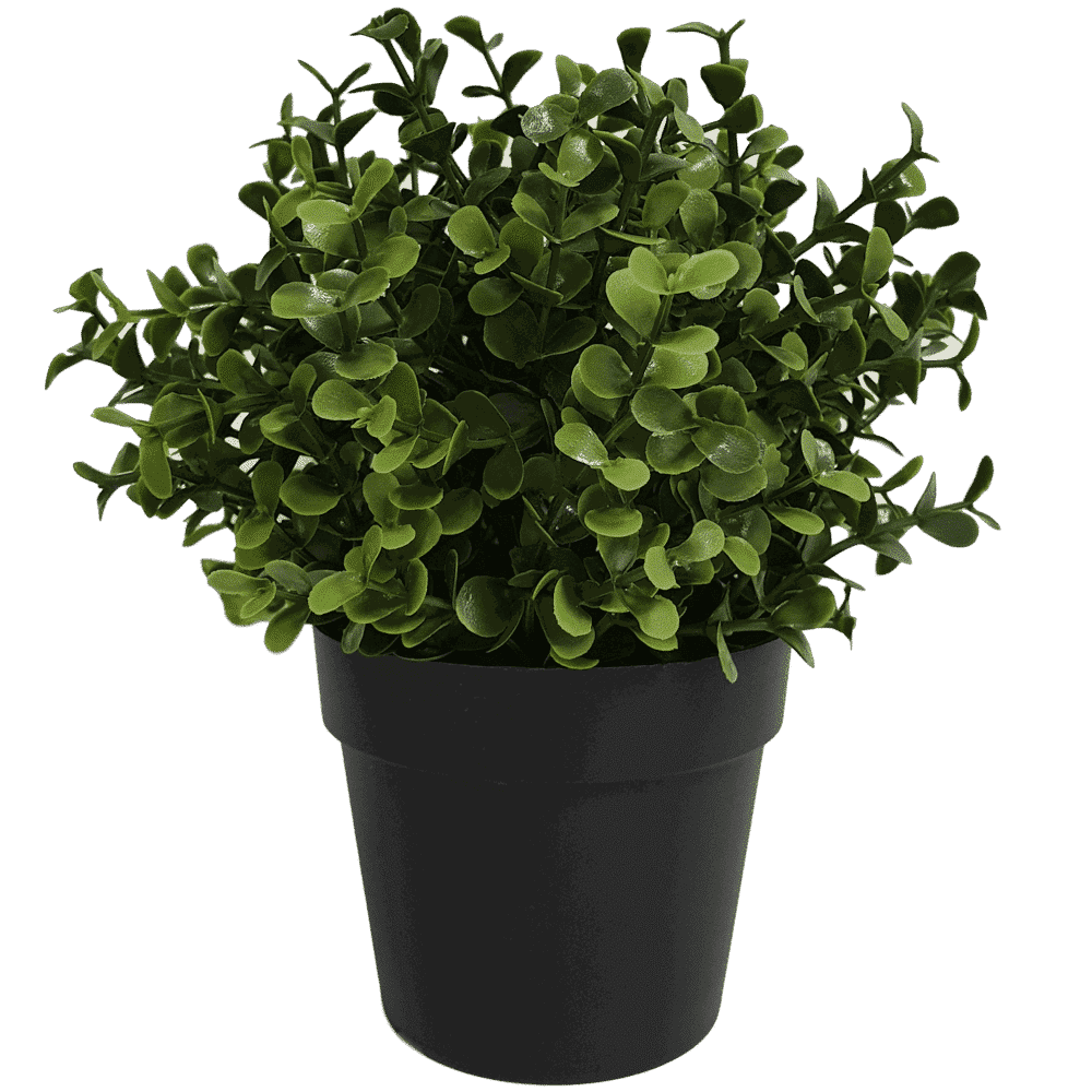 Small 20cm UV-resistant artificial Buxus plant in a pot, perfect for home and garden decor by Faux Flora.