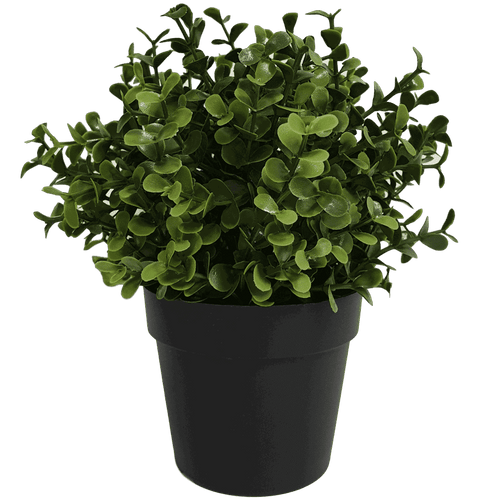 Small 20cm UV-resistant artificial Buxus plant in a pot, perfect for home and garden decor by Faux Flora.