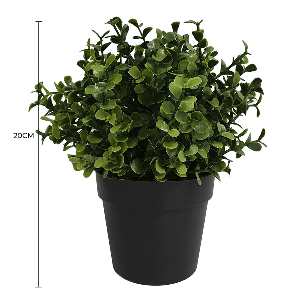 Small potted artificial Buxus plant by Faux Flora, UV resistant, 20cm tall, suitable for home and garden decorative use.