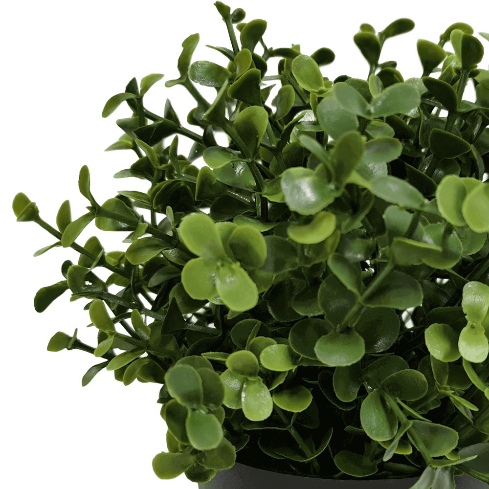 Small UV-resistant artificial Buxus plant in a pot, 20cm tall, perfect for home and garden decor by Faux Flora.