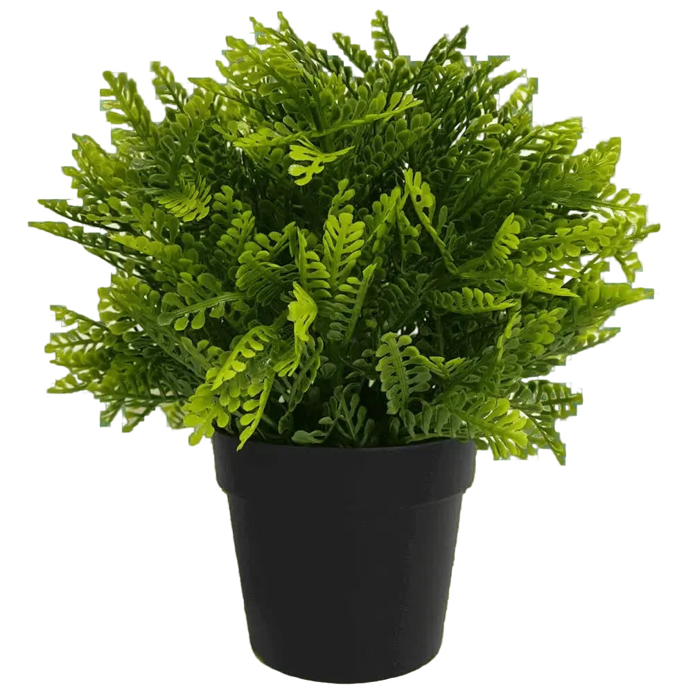 Small potted artificial Mimosa Fern by Faux Flora, UV resistant, 20cm, ideal for home and garden decor.