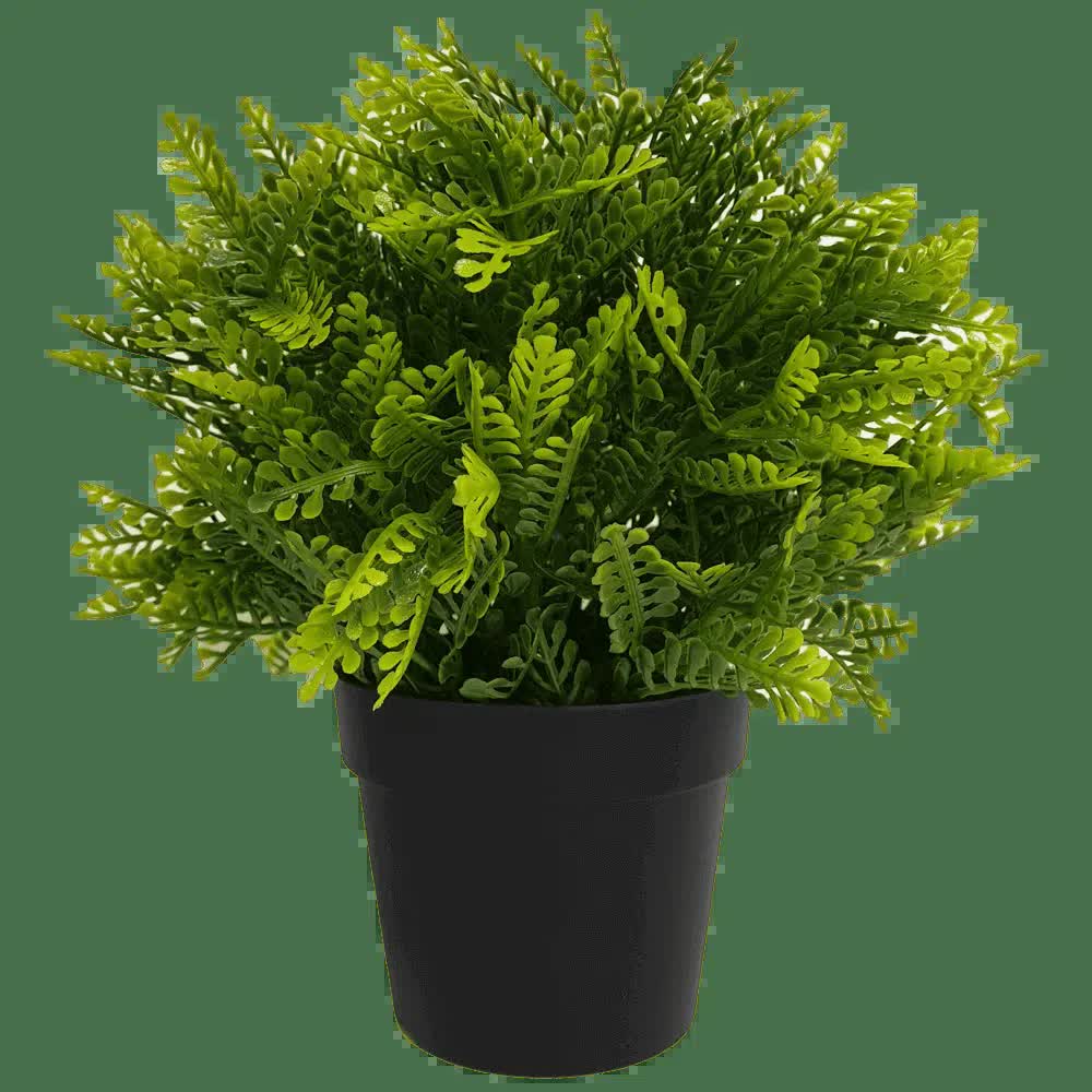 Small Potted Artificial Mimosa Fern (UV Resistant) 20cm