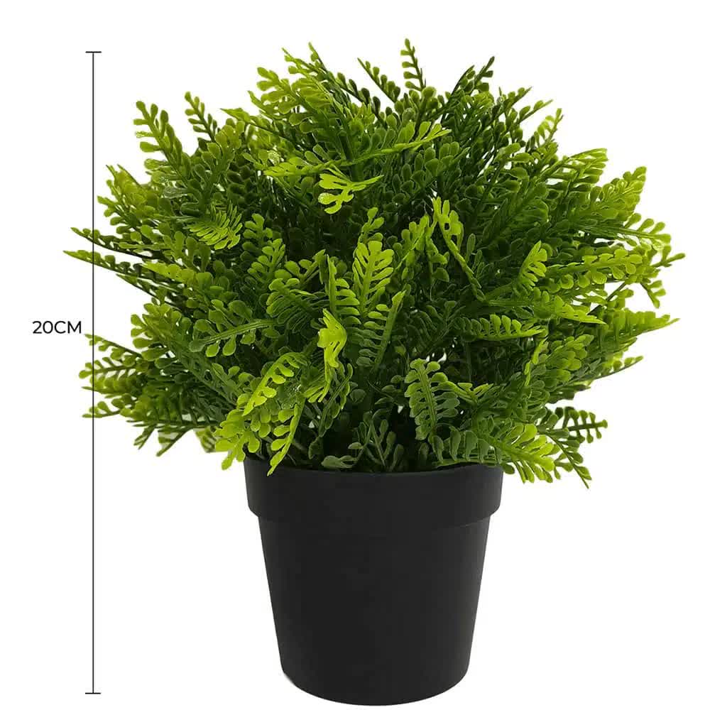 Small potted artificial Mimosa fern with UV-resistant foliage, 20cm, from Faux Flora, perfect for home and garden decor.