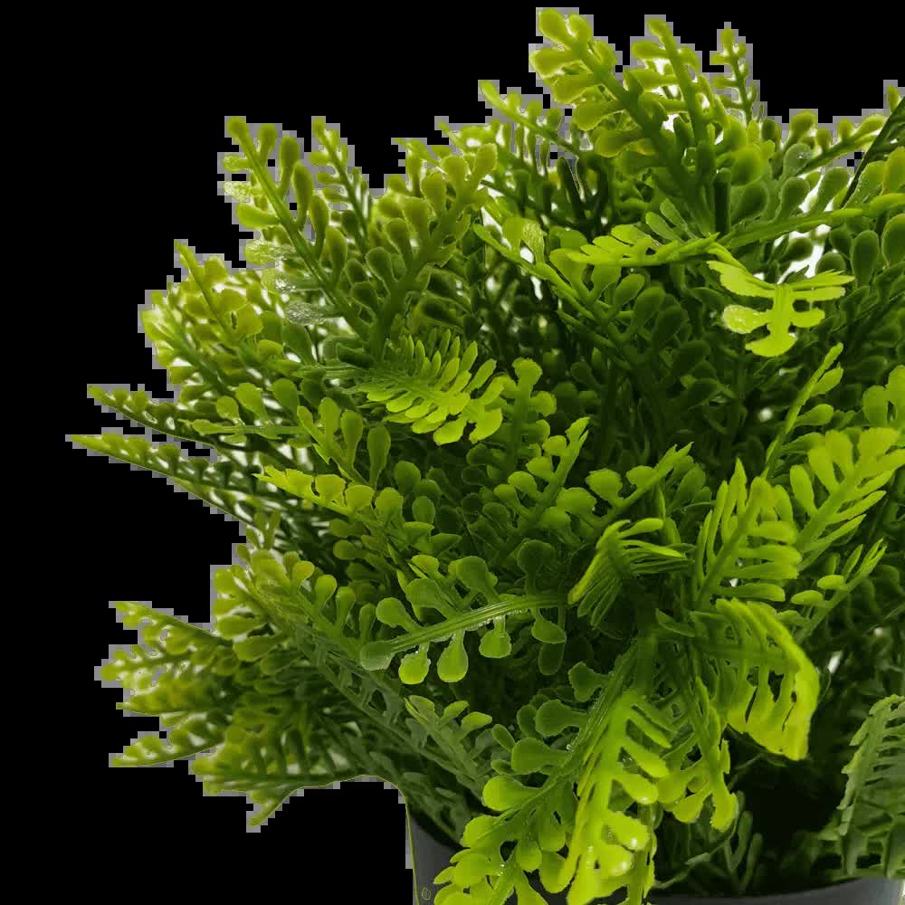Small Potted Artificial Mimosa Fern (UV Resistant) 20cm