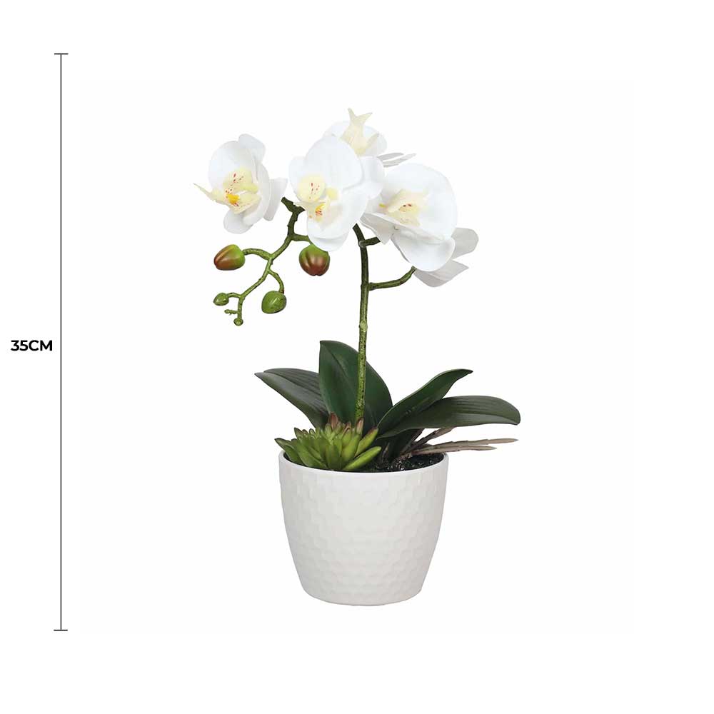 Potted white Phalaenopsis orchid with decorative pot from Faux Flora, perfect for home decor, measures 35cm tall.