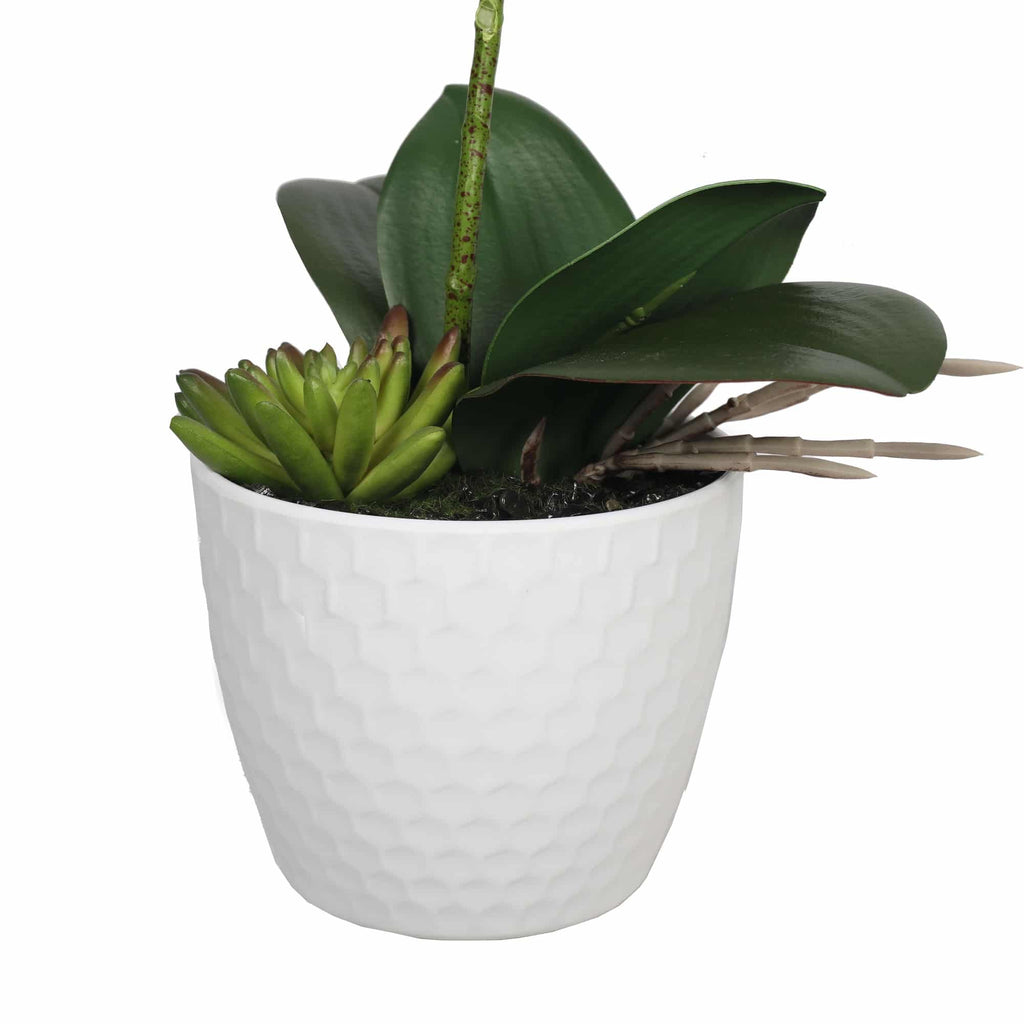White Phalaenopsis orchid in a decorative pot, Faux Flora artificial potted plant, 35cm tall, ideal for home and garden decor