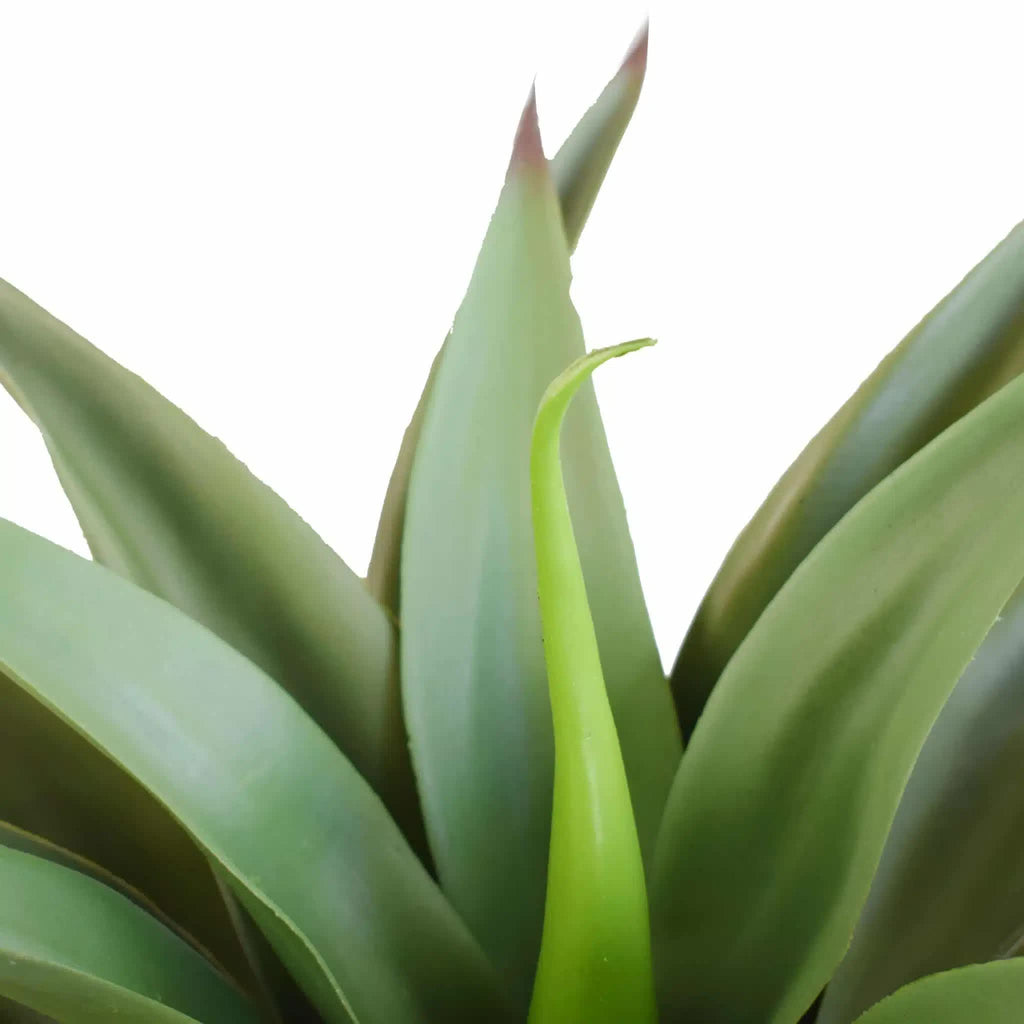 Artificial Agave plant by Faux Flora, 50cm tall, UV resistant, no pot, suitable for home and garden decor.