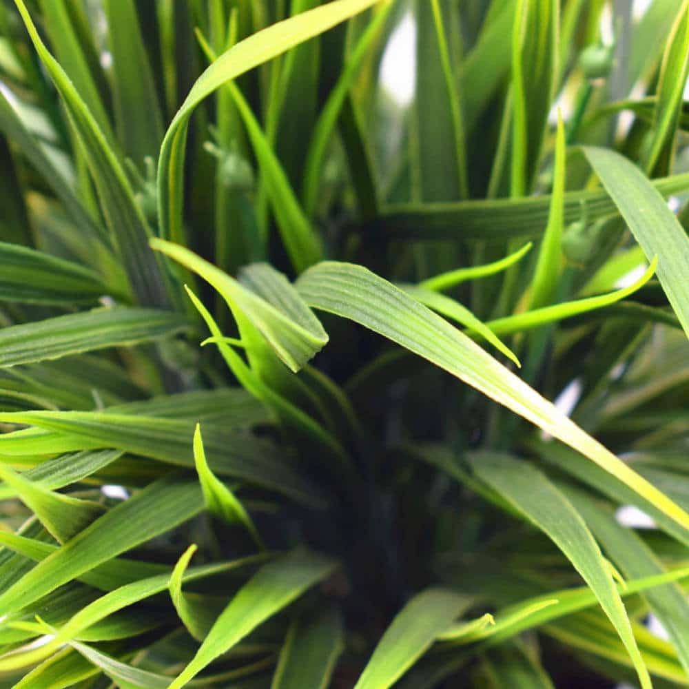 Artificial dense green grass potted plant by Faux Flora, UV resistant, 38cm tall, ideal for home and garden decor.