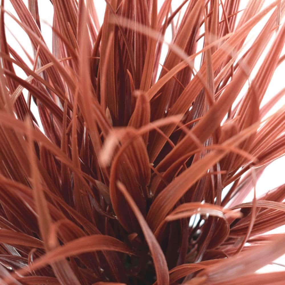 Artificial ornamental potted dense burgundy grass by Faux Flora, UV resistant, 38cm tall, suitable for home and garden decor.