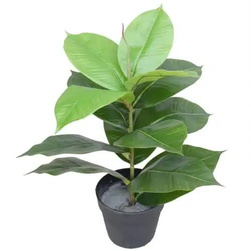Artificial potted rubber plant by Faux Flora, 55cm tall, realistic green rubber leaves in a decorative pot for home and garden decor.