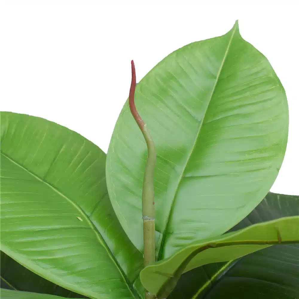 Artificial potted rubber plant by Faux Flora, 55cm tall, realistic green rubber leaves in a decorative pot for home and garden decor
