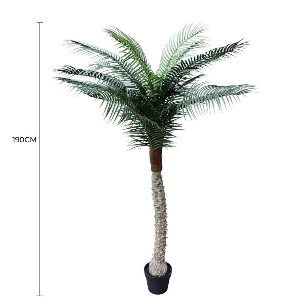 Artificial palm tree with dimensions on a white background