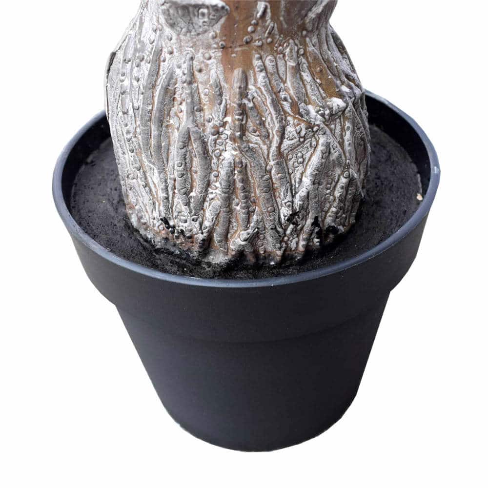 Potted plant with textured pot on a white background