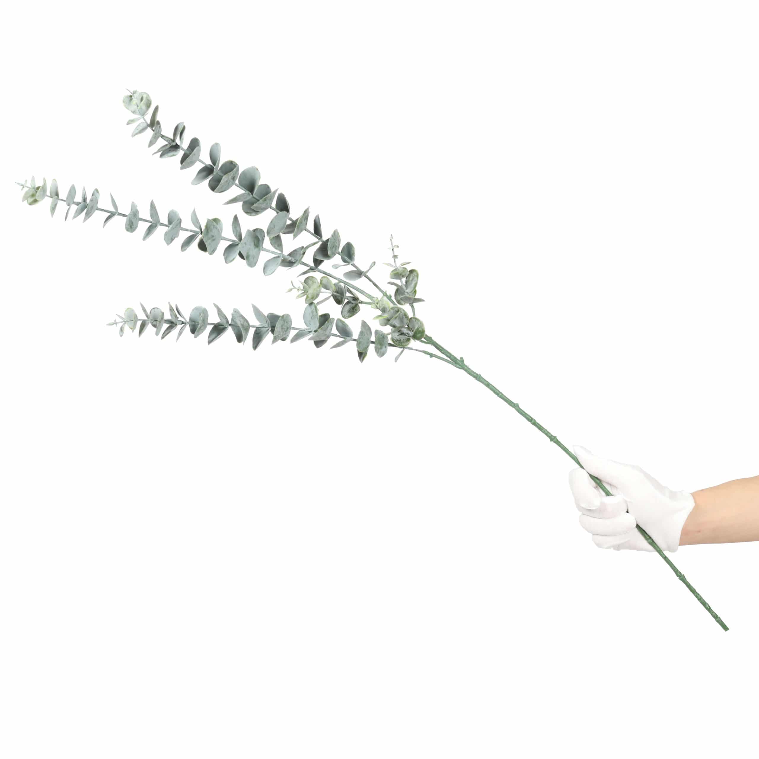 Eucalyptus Stem 75cm