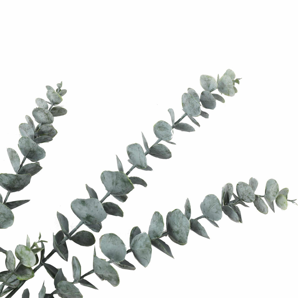 Eucalyptus Stem 75cm