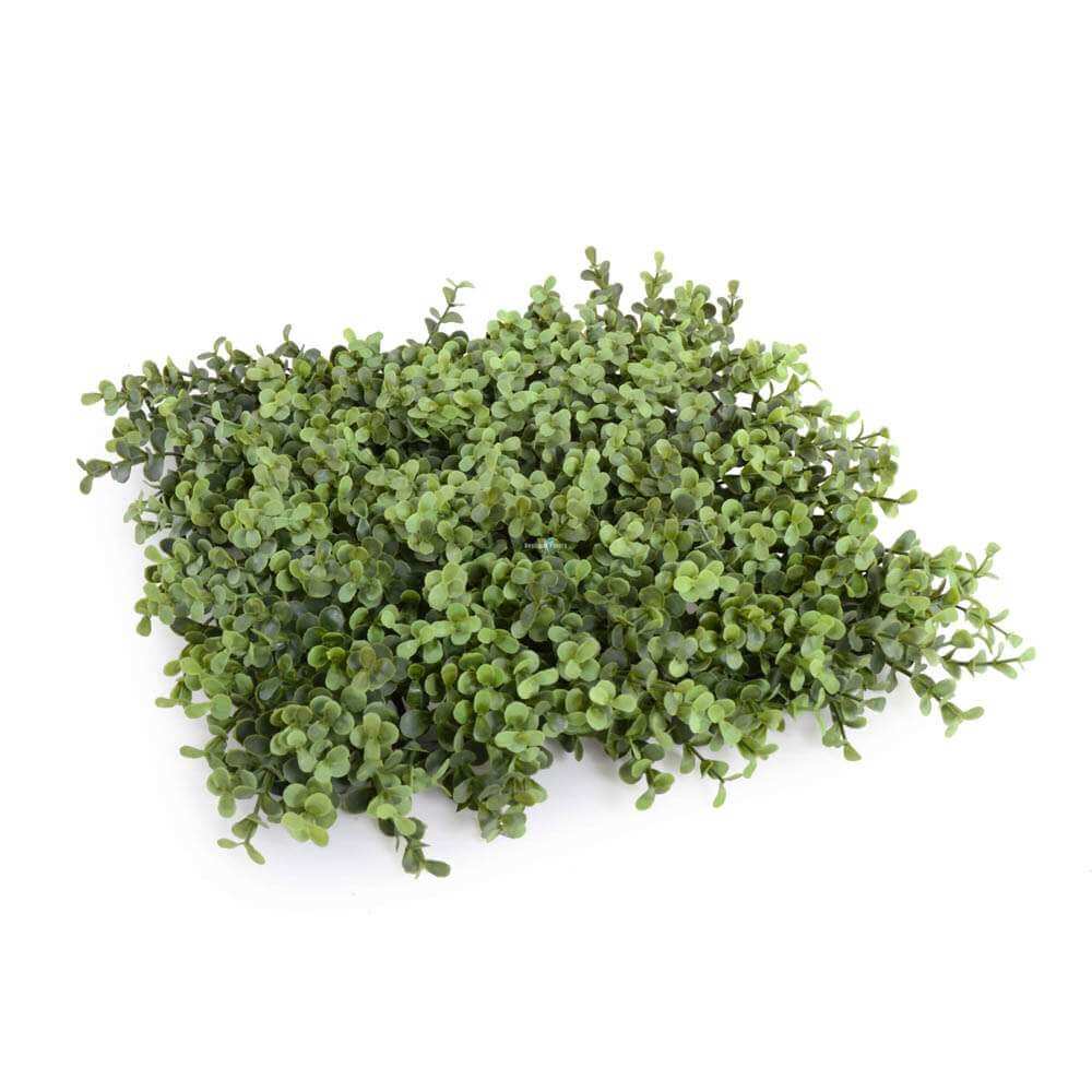 Faux Flora Deluxe Portable Buxus Hedge, UV resistant artificial plant, 100cm by 200cm, suitable for home and garden decor.