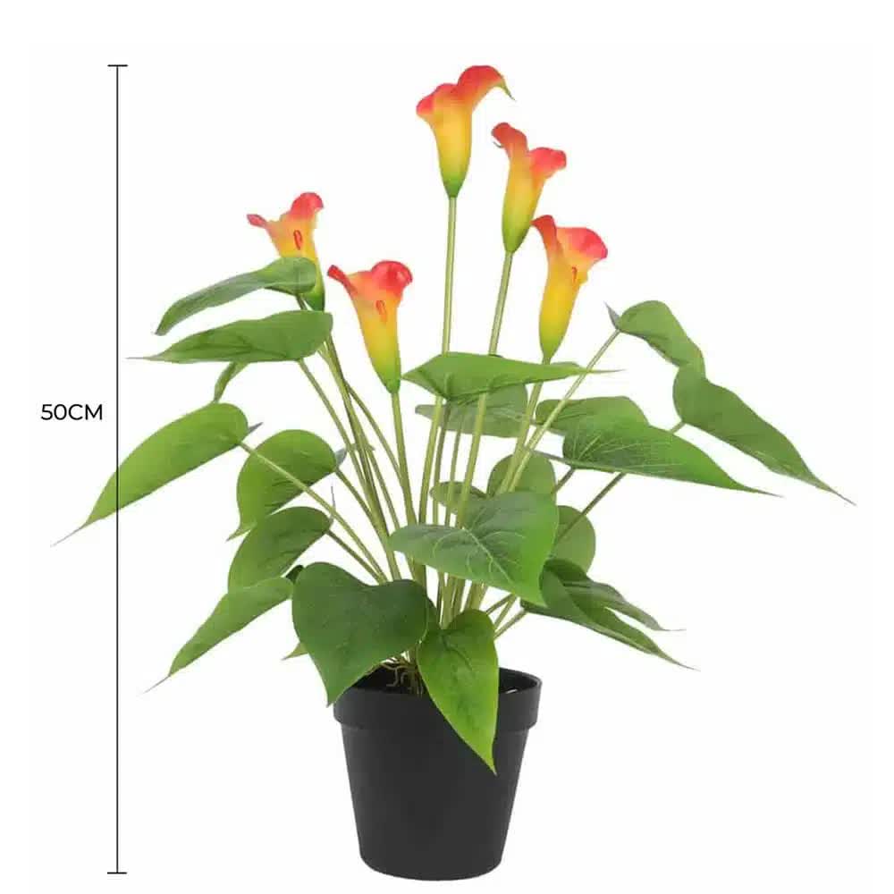 Potted Real Touch Peace Lily (Orange) 56cm