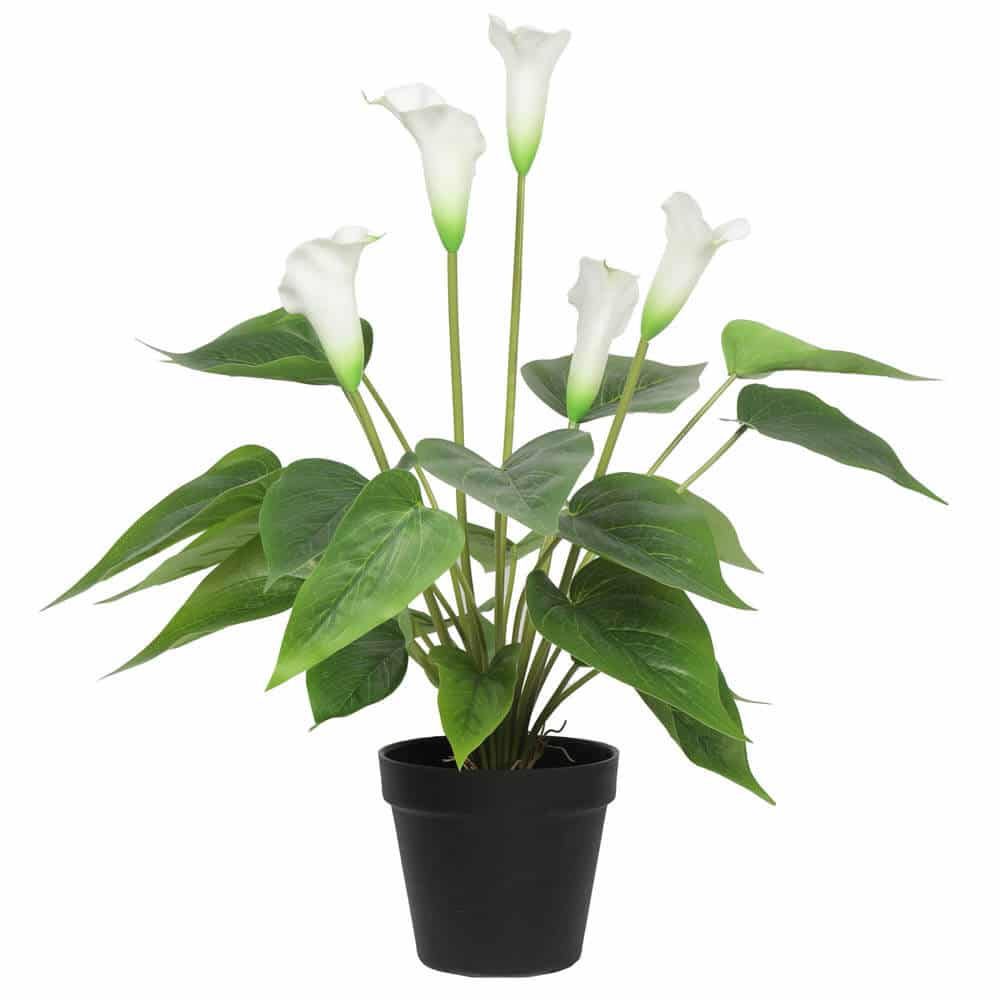 Potted Real Touch Peace Lily (White) 56cm