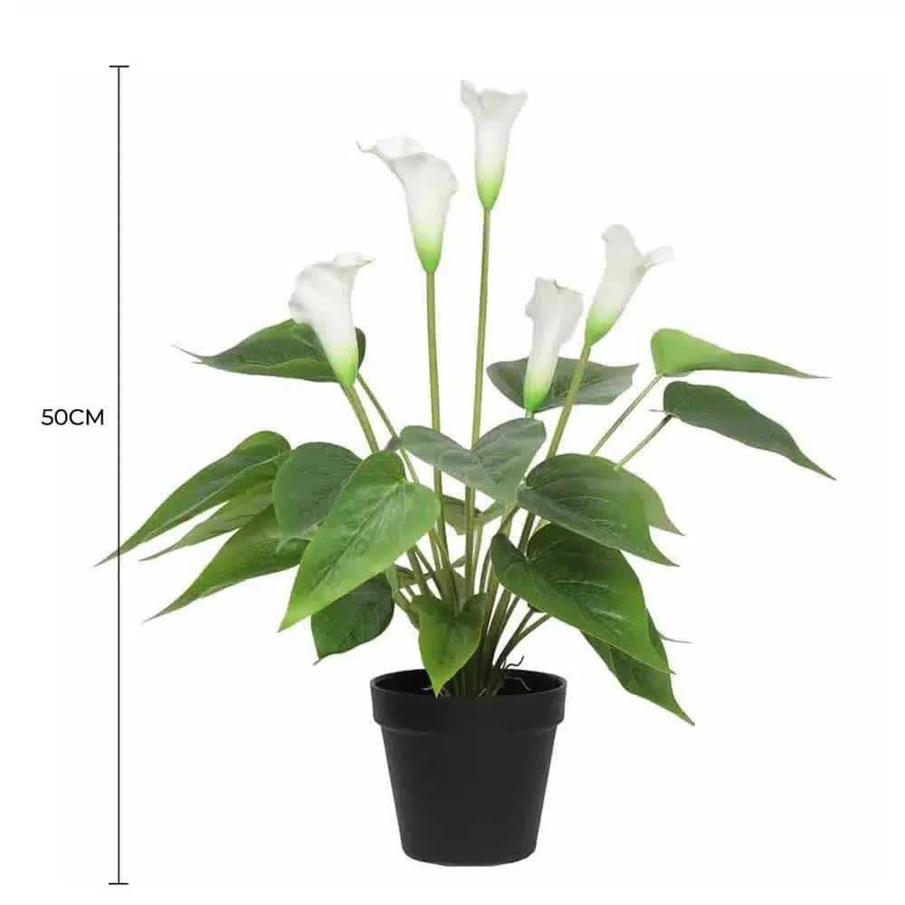 Potted Real Touch Peace Lily (White) 56cm
