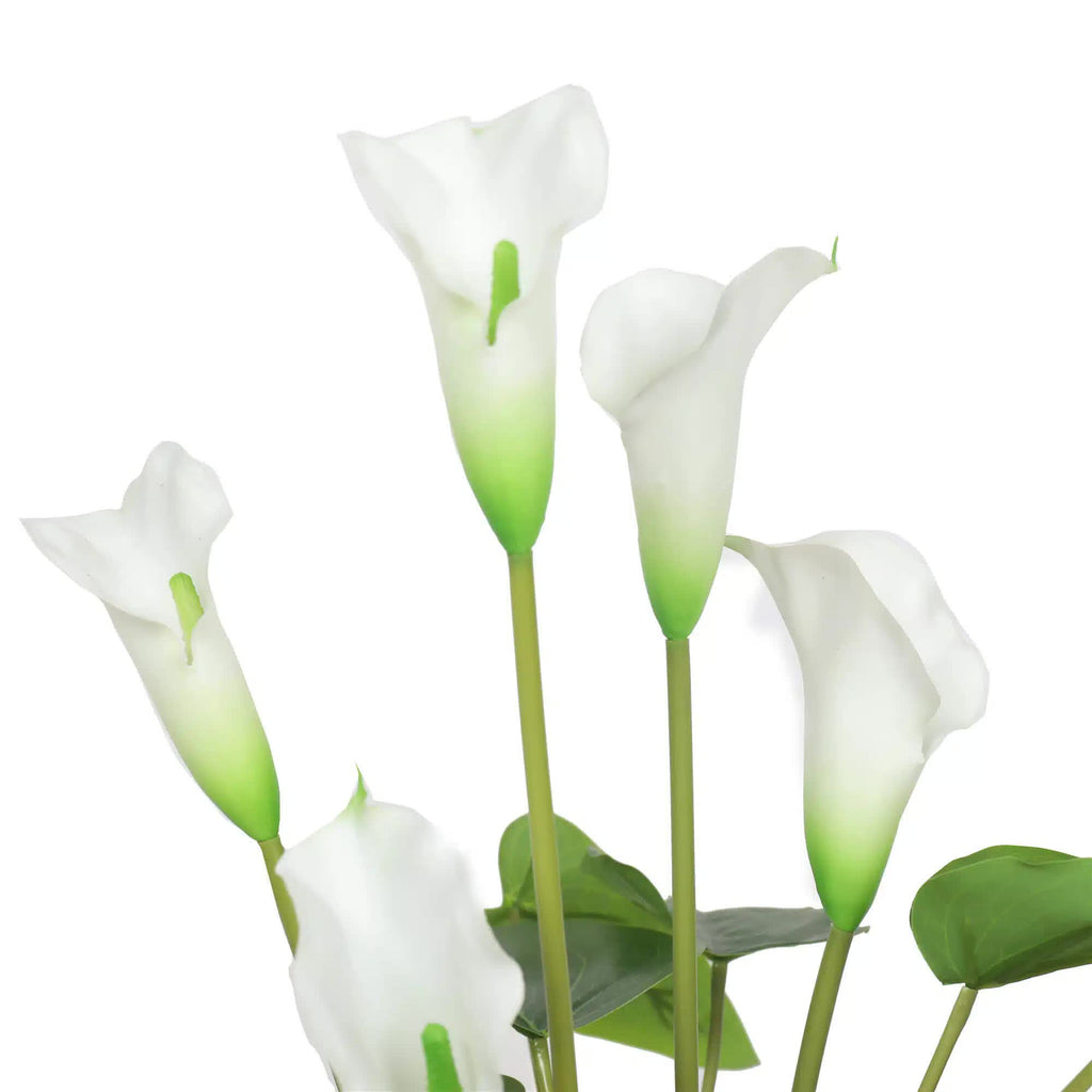 Potted Real Touch Peace Lily (White) 56cm