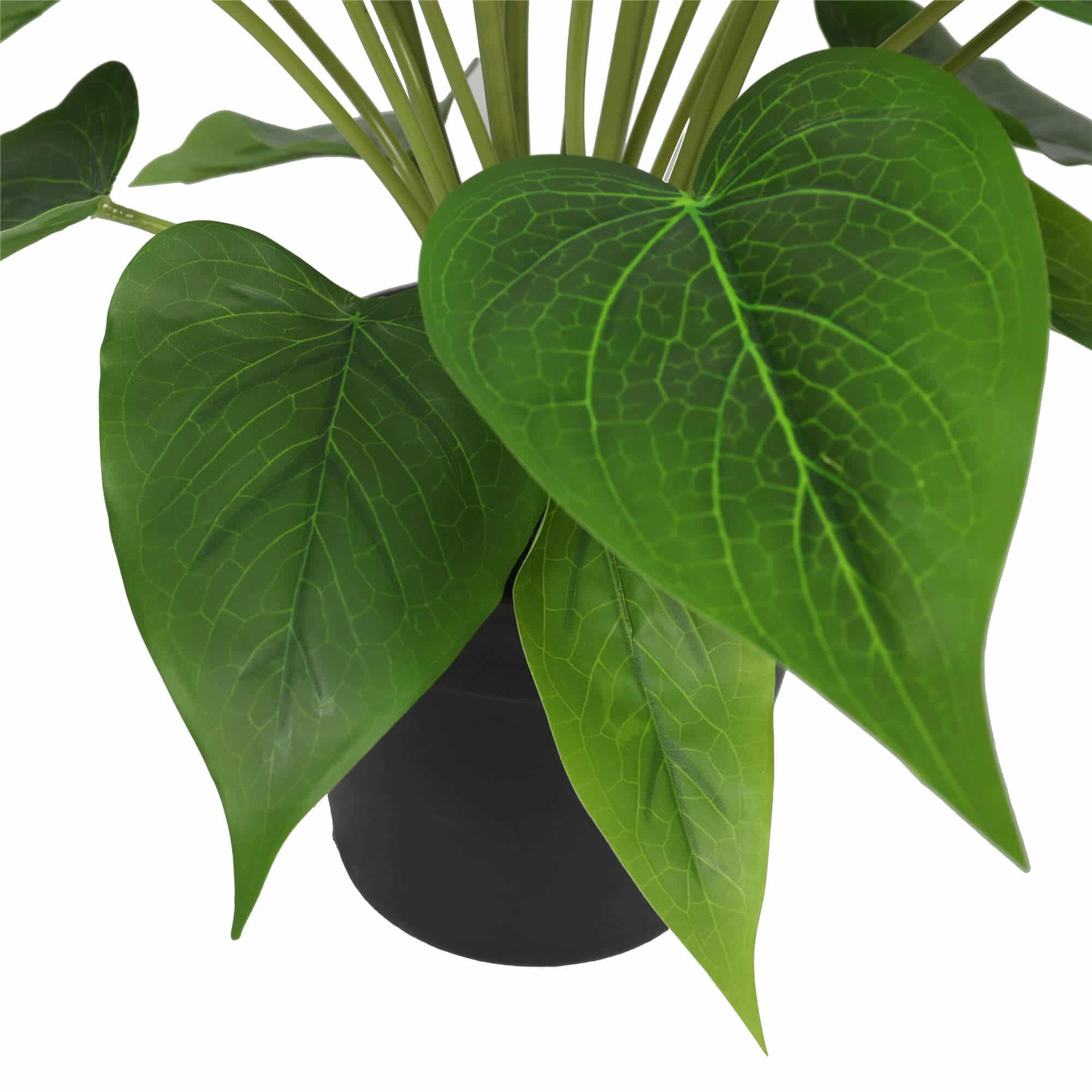 Potted Real Touch Peace Lily (White) 56cm