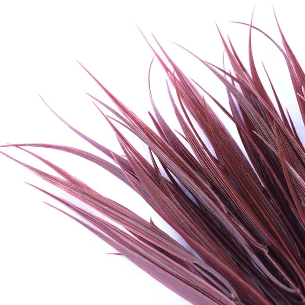 Dark red artificial grass stem from Faux Flora, 35cm UV resistant plant for home and garden decor.