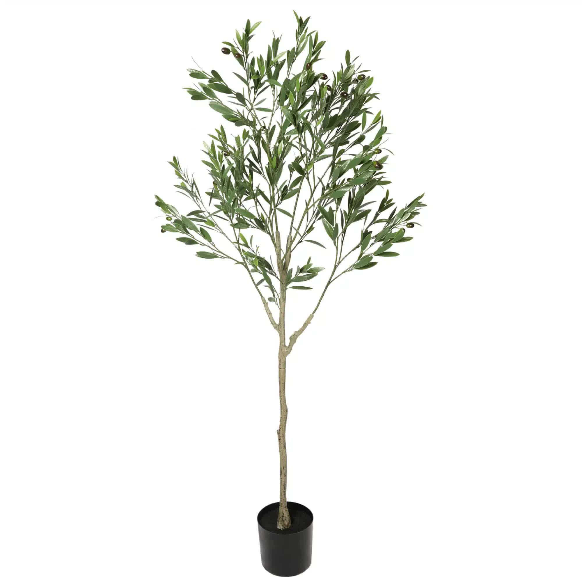 Artificial olive tree in a pot on a white background