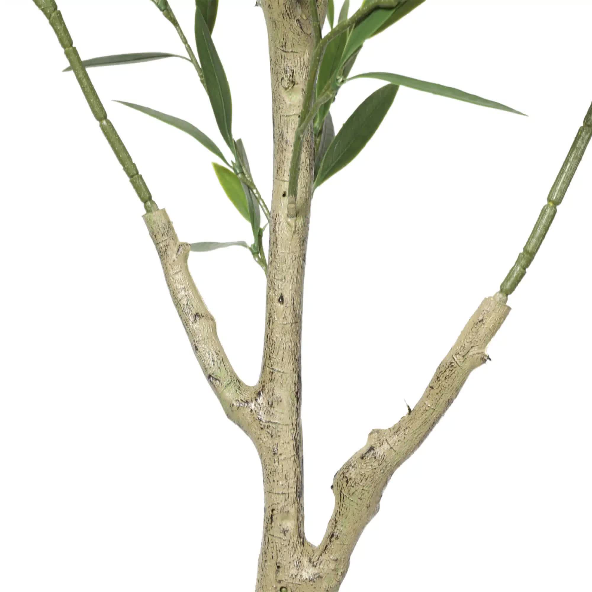 Close-up of a branch with green leaves on a white background