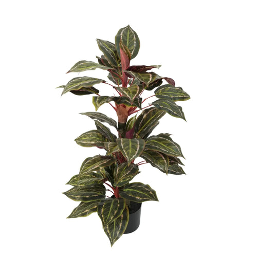 Artificial wide leaf potted Cordyline plant from Faux Flora, 90cm tall, featuring vibrant green leaves in a decorative pot.