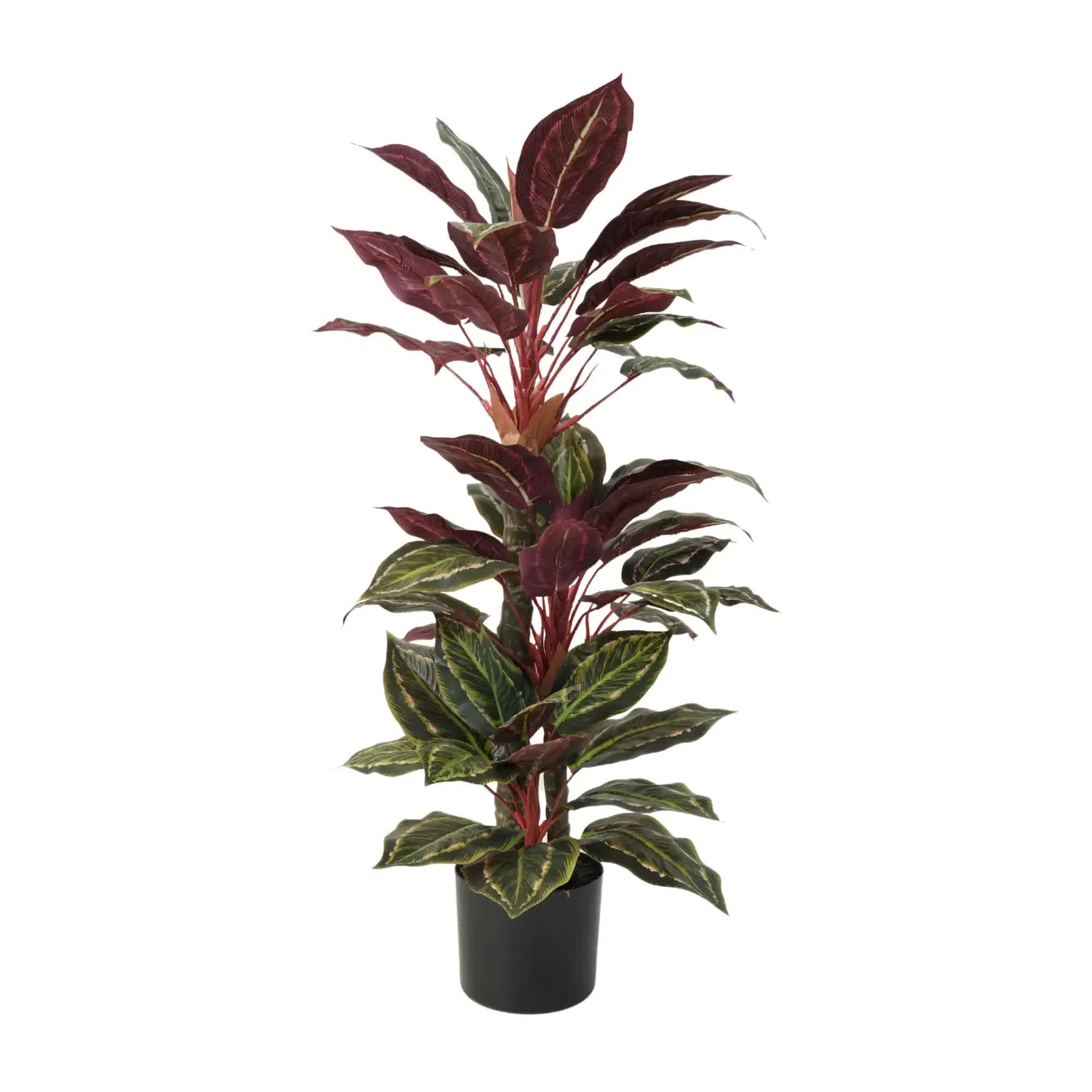 Artificial Wide Leaf Potted Cordyline Plant 90cm