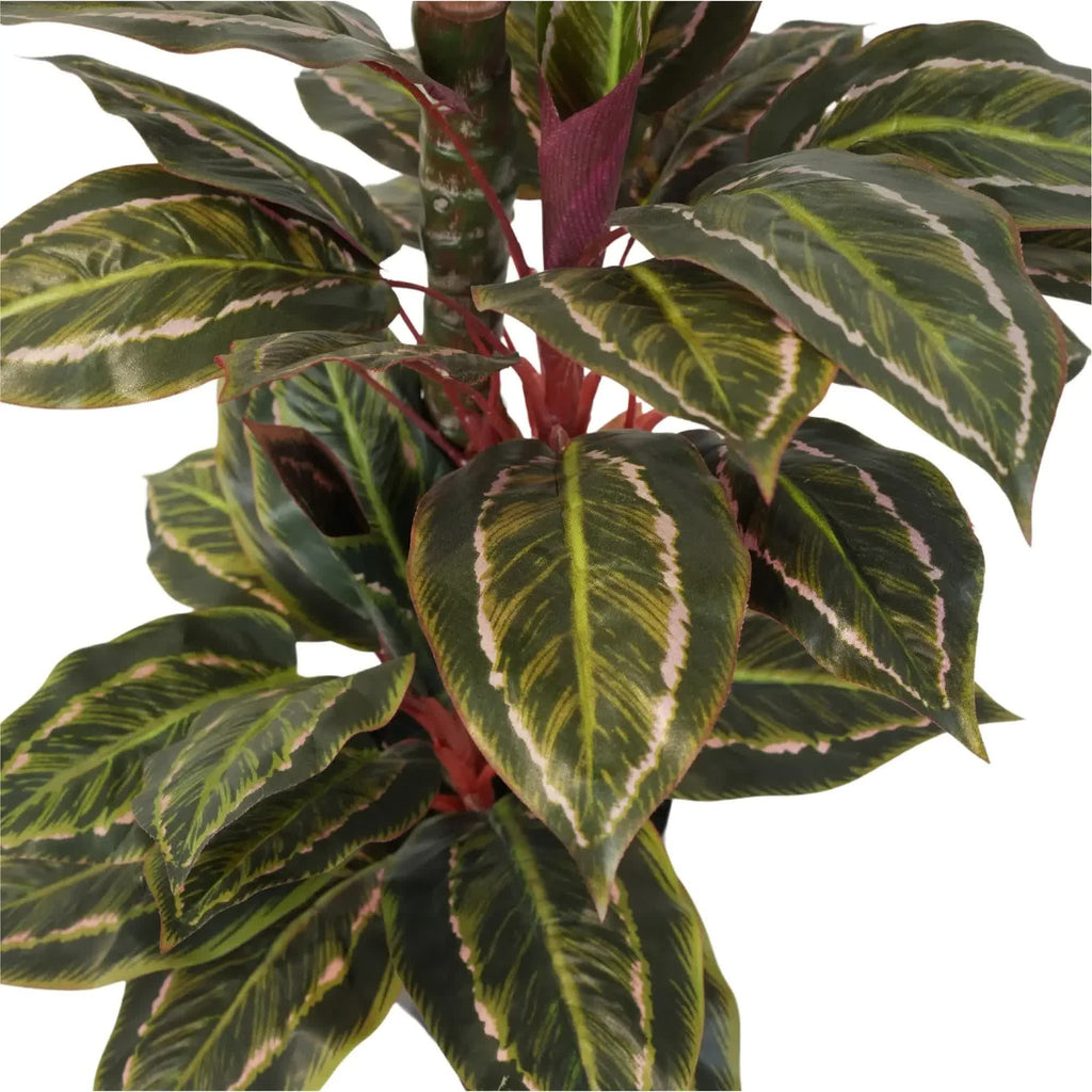 Artificial Cordyline plant with wide leaves in a pot, 90cm tall, from Faux Flora, suitable for home and garden decor.