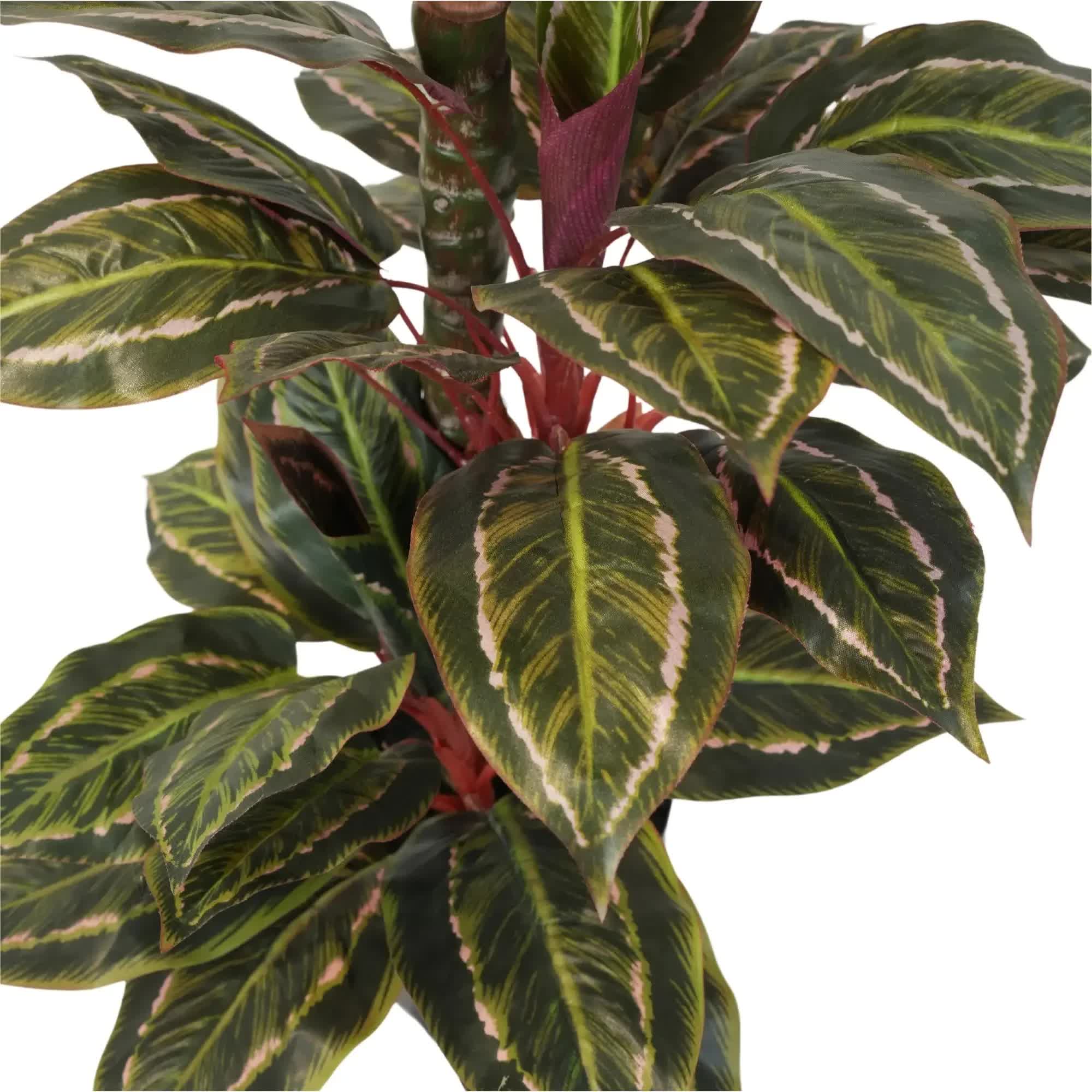 Artificial Wide Leaf Potted Cordyline Plant 90cm