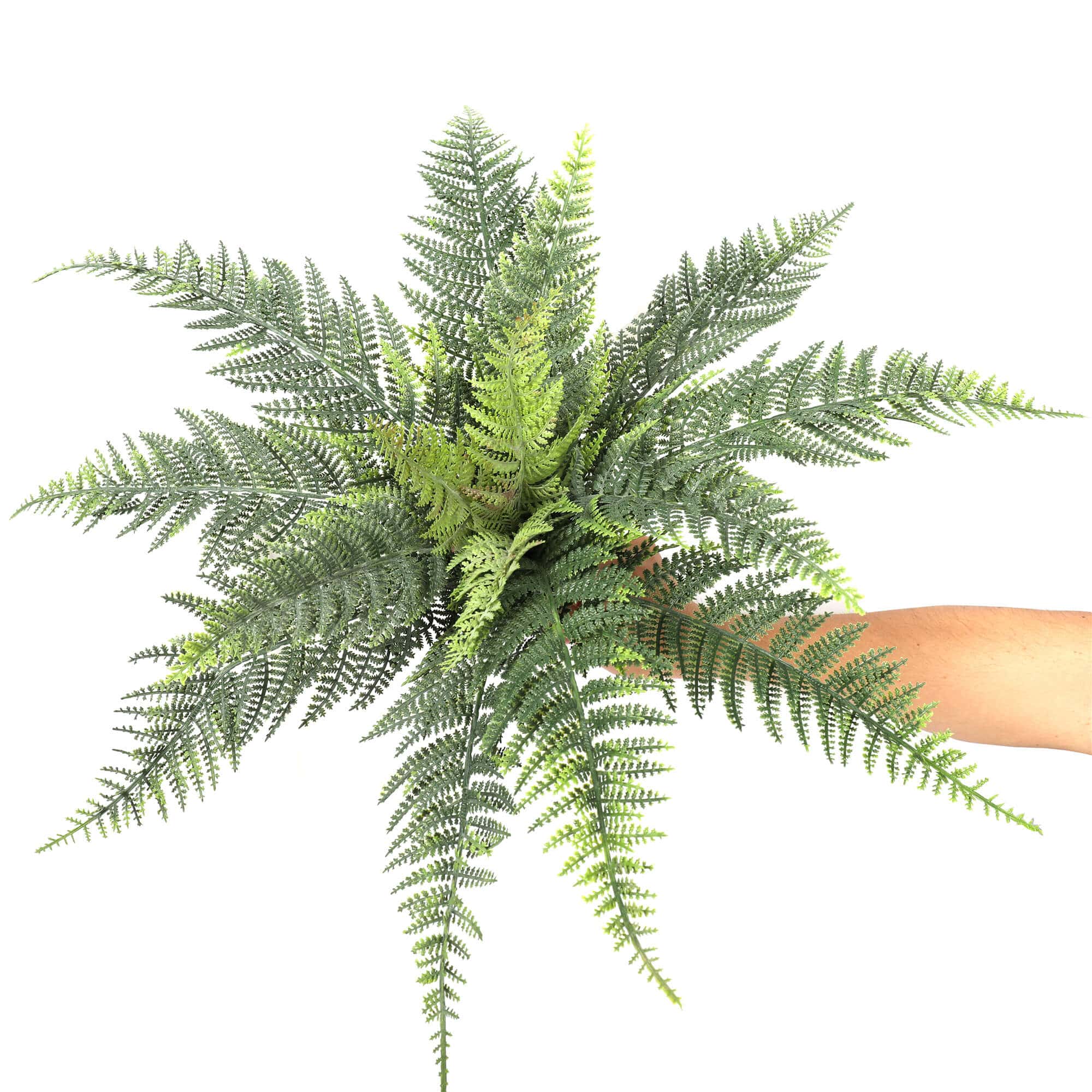 Australian Fern (UV Resistant) 60cm
